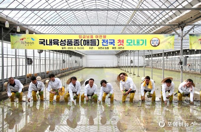 이천시 전국 첫 모내기