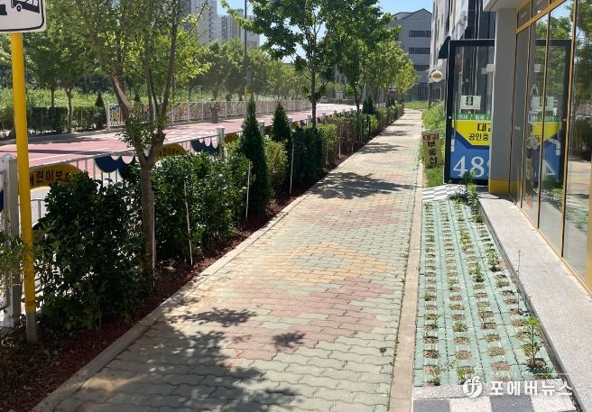 보행자의 푸른 안전띠 ‘띠녹지’