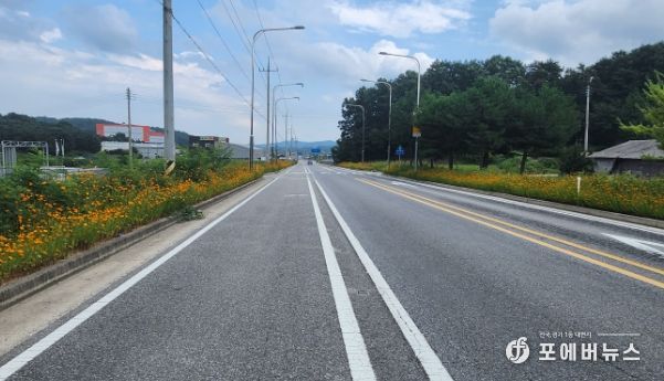 호법면, 롯데아울렛로 황화코스모스 꽃길 조성