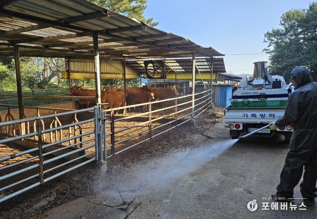 고흥군, 럼피스킨병(LSD) 원천 차단위해 선제적 대응 활동