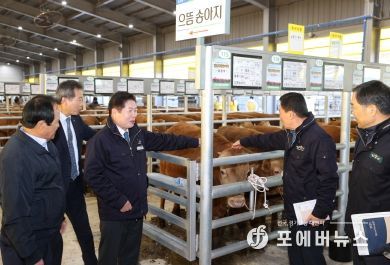 고흥군, 럼피스킨으로 폐쇄됐던 가축시장 재개장