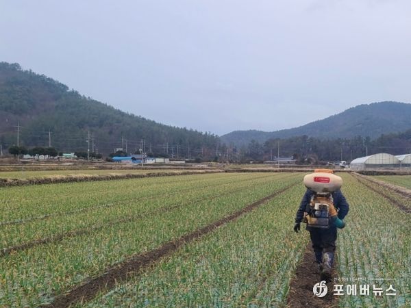 고흥군, 마늘·양파 웃거름 시비와 병해충 적기방제 힘써야