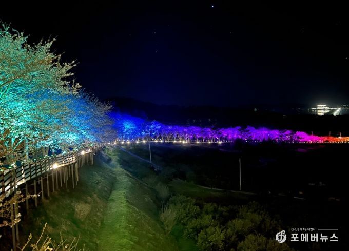 고흥만 벚꽃길, 상춘객 맞이 야간 경관조명 점등