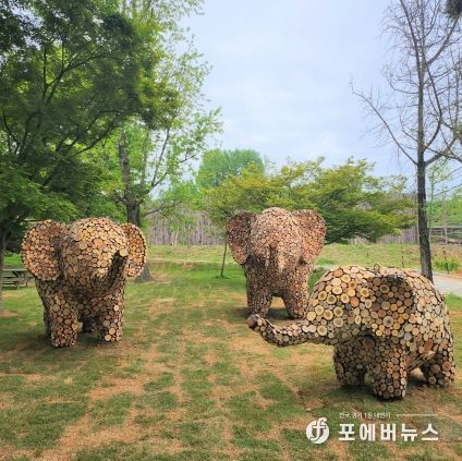 “전주동물원에서 새로운 코끼리 가족을 찾으세요!”