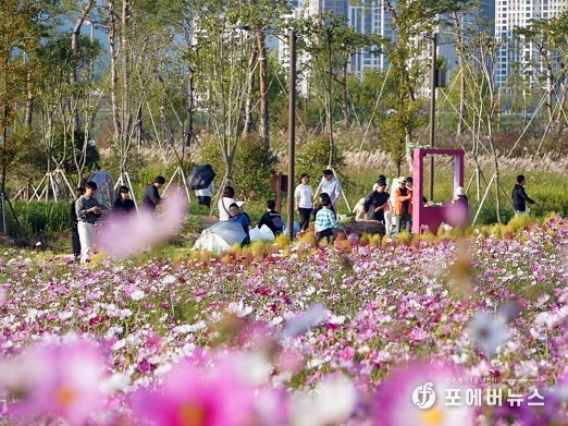 전라남도 나주 영산강정원에서 9일부터 13일까지 열린 ‘2024 나주영산강축제’가 막을 내렸다. 축제는 5일간 누적 관광객 36만여명을 기록하며 지역 축제 역사를 새롭게 썼다. 사진은 영산강정원 축제장 및 페막식 이모저모.