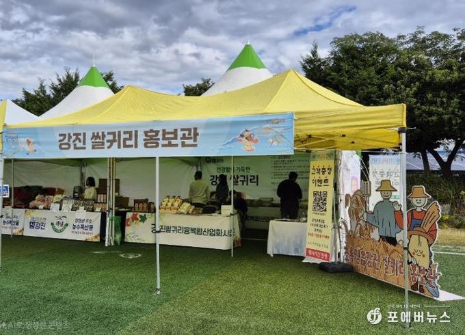 강진만 춤추는 갈대축제장에 마련된 강진 쌀귀리 홍보관.