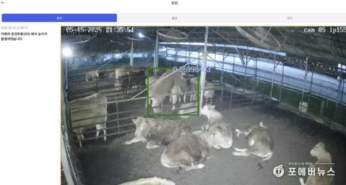 포천시, 인공지능(AI) 기반 한우 스마트팜 번식관리 시스템 본격 가동