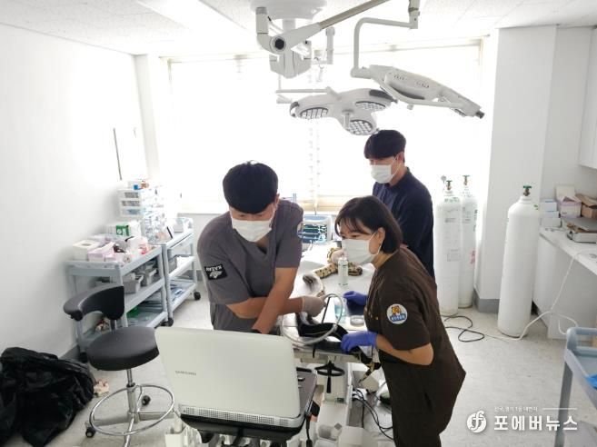 붉은꼬리보아뱀 초음파 검사