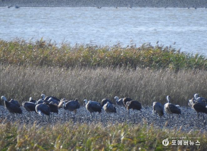 겨울 핫플, ‘순천여행’
