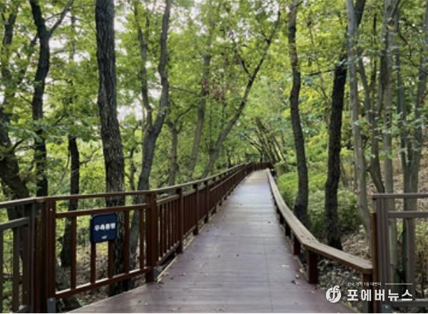 ‘서리풀공원 무장애숲길 연결로’ 조성