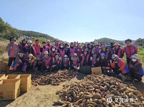 생활개선회와 ‘사랑의 고구마’나눔으로 온정