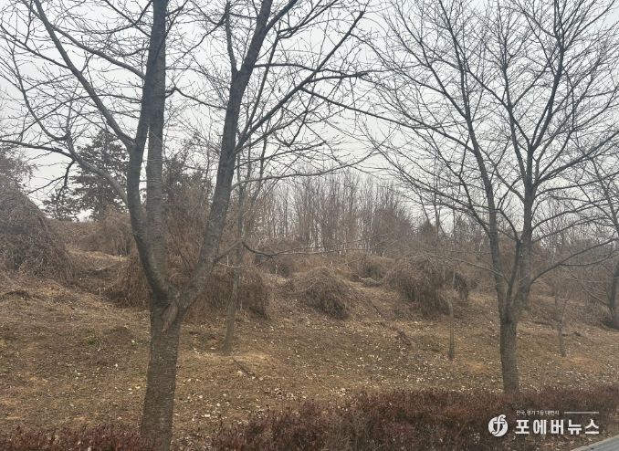 이천시, 2026년 도시숲리모델링사업 선정