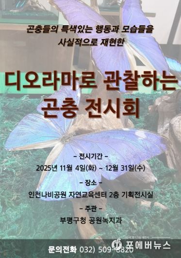 인천나비공원, ‘디오라마로 관찰하는 곤충 전시회’개최