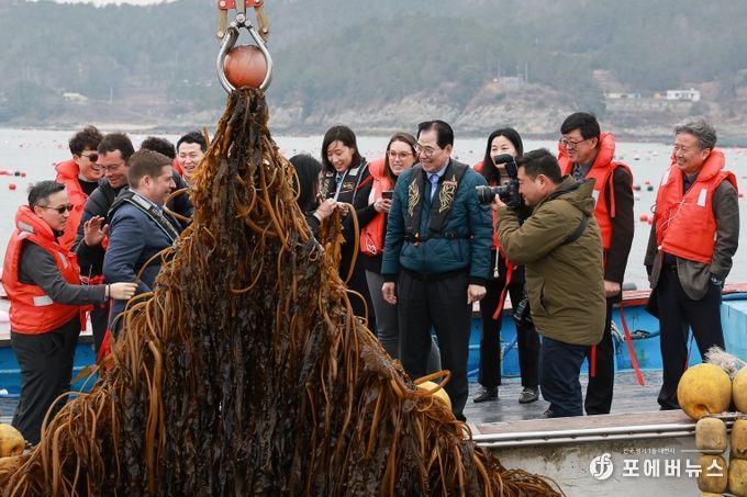 사진은 미 에너지부 산하기관 에너지 고등 계획원(ARPA-E) 관계자 완도군 해조류(미역) 양식장을 방문한 모습