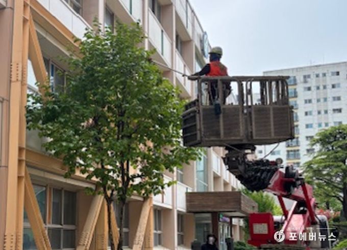 261개교 수목관리 사업