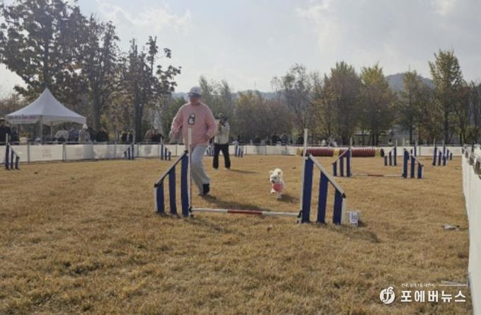 여주 강천섬 반려동반 힐링 프로그램, 반려가족 큰 호응 속 성공적 운영