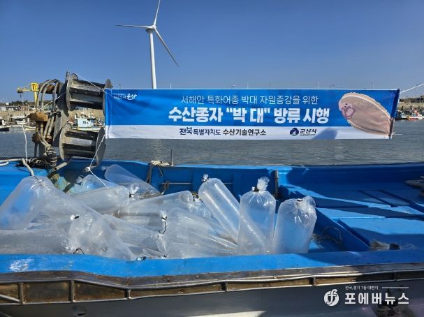 생태계 회복과 수산자원 증대를 위한 박대종자 5만미 옥도면 비안도 해역에 방류