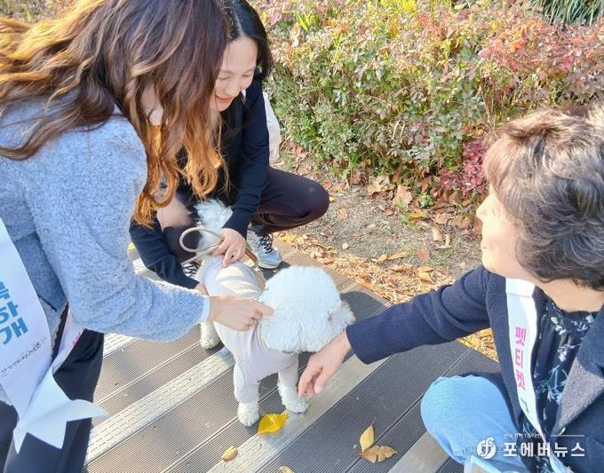 집중단속 현장 사진