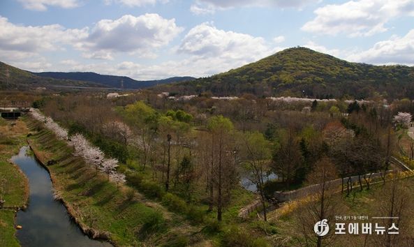 도란도란 유아숲체험원 개방 지역