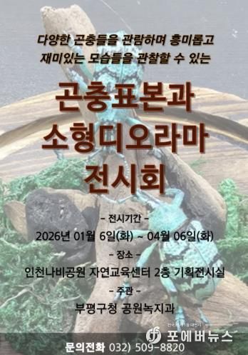 인천나비공원, ‘곤충표본과 소형디오라마 전시회’ 개최