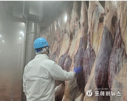 설 명절 축산물 안정적 공급 위해 도축장 조기 개장