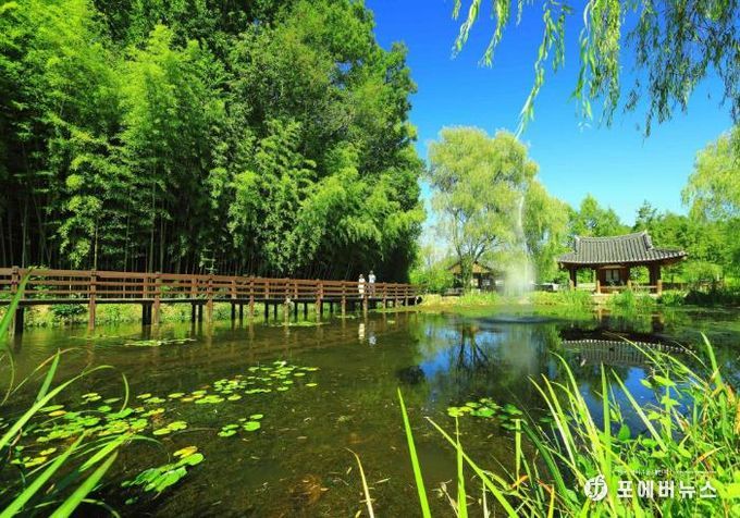 전남 관광지 사진(담양 죽녹원)