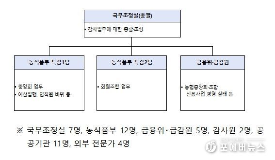 정부합동 특별감사반 구성 및 인원