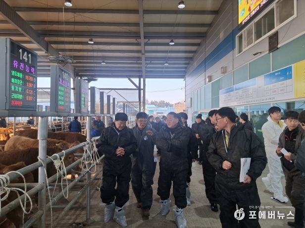 전북자치도, 김제 가축시장 찾아 한우 거래 현장 점검…축산농가 애로 청취