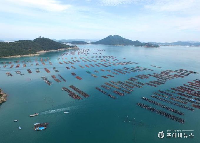 완도 전복 양식장 전경