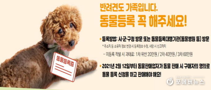 동물등록제 비용 지원사업 홍보물