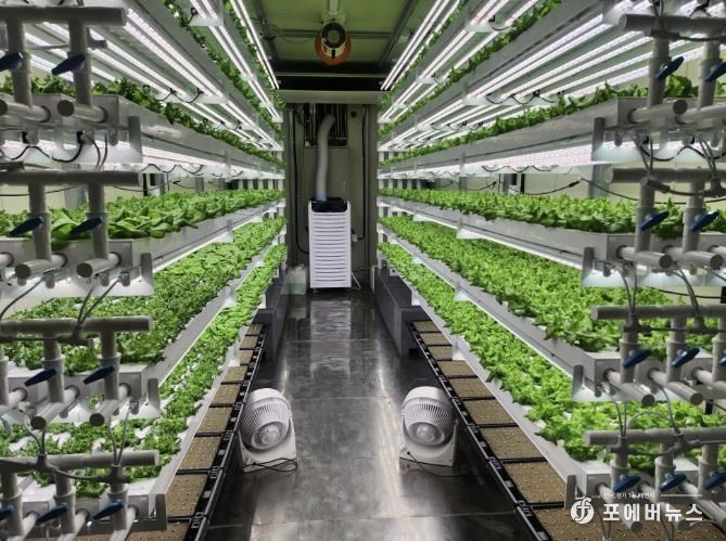 테이너형 수직농장 내부