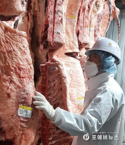 설 안전 축산물 공급- 도축 검사, 축산물 검사 사진