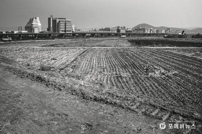 1995년도 고잔뜰 전경, 현재는 고잔신도시가 조성되어 아파트 단지로 변모했다.