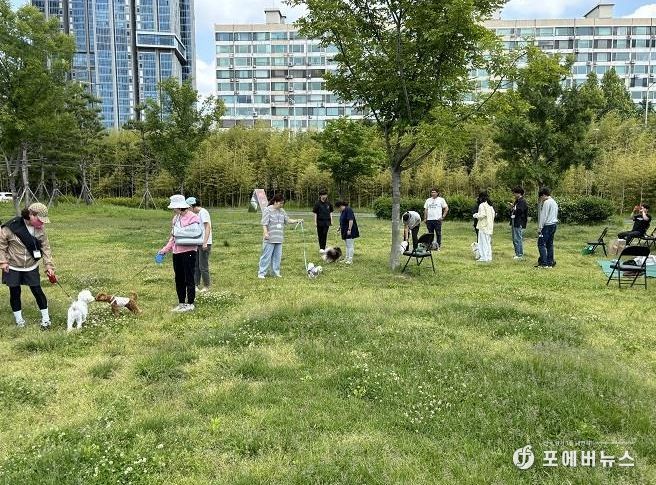 용산구 반려견 산책 교육