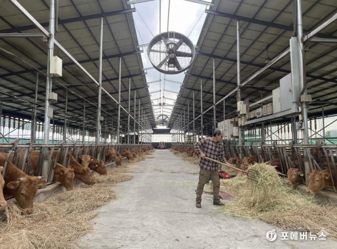 안성시, 2026년 상반기 사료구매 정책자금 지원사업 신청 접수