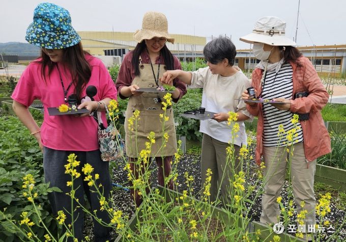 남동구, 초록빛‘도시농업’으로 숨 쉬다