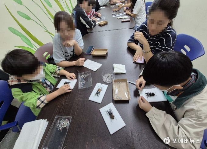 곤충표본 만들기