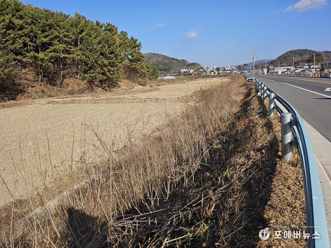 해룡면 남가리 월전2교차로부터 남가교까지 약 1km 구간에 배롱나무 식재