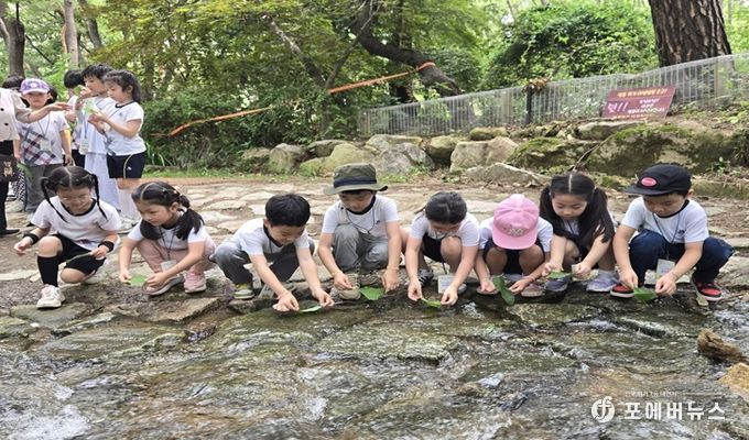 금천구가 2025년 진행한 숲해설 프로그램