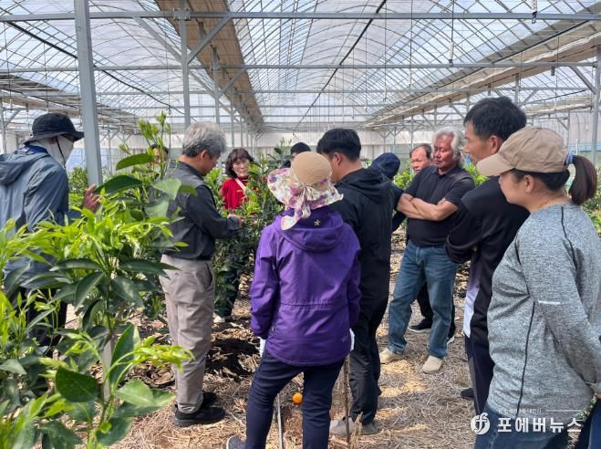 지난 3일 곡성군 관내 농가에서 진행된 만감류 품질 향상을 위한 현장 컨설팅