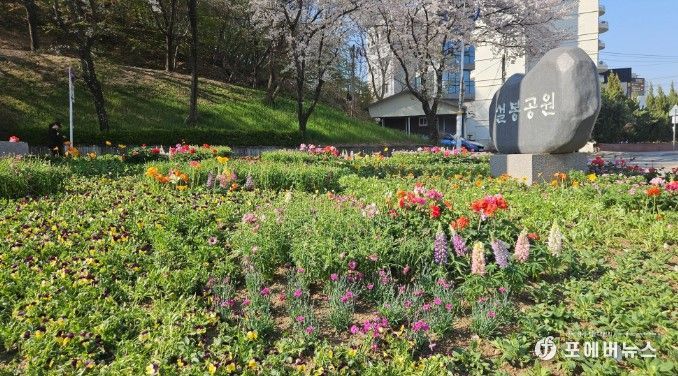 이천시, 설봉공원 봄맞이 초화류 식재 완료