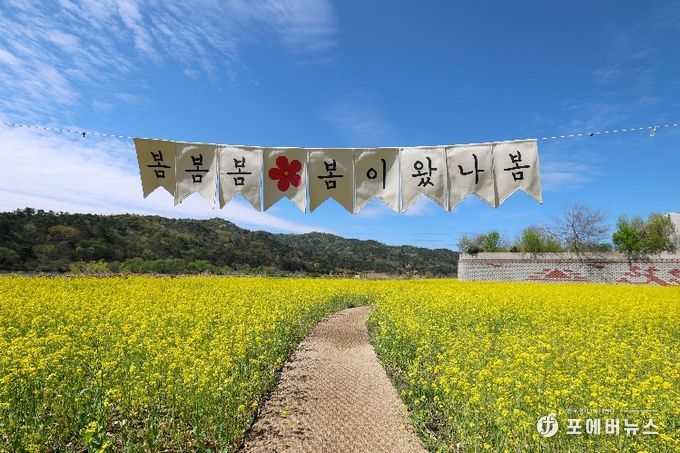 황룡강생태정원 꽃단지